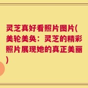 灵芝真好看照片图片(美轮美奂：灵芝的精彩照片展现她的真正美丽)