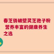 春芝俏破壁灵芝孢子粉 营养丰富的健康养生之选