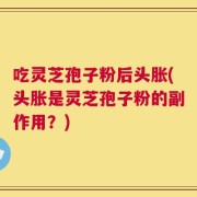 吃灵芝孢子粉后头胀(头胀是灵芝孢子粉的副作用？)