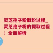灵芝孢子粉取粉过程_灵芝孢子粉的提取过程：全面解析