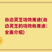 白边灵芝功效用途(白边灵芝的功效和用途：全面介绍)