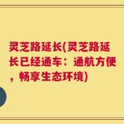 灵芝路延长(灵芝路延长已经通车：通航方便，畅享生态环境)