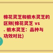 棉花灵芝和椴木灵芝的区别(棉花灵芝 vs. 椴木灵芝：品种与功效对比)