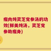 瘦肉炖灵芝党参汤的功效(鲜美炖汤，灵芝党参助瘦身)