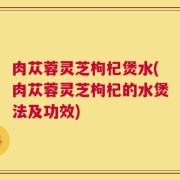 肉苁蓉灵芝枸杞煲水(肉苁蓉灵芝枸杞的水煲法及功效)