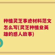 种植灵芝事迹材料范文怎么写(灵芝种植业英雄的感人故事)