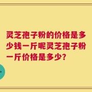 灵芝孢子粉的价格是多少钱一斤呢灵芝孢子粉一斤价格是多少？