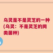 乌灵是不是灵芝的一种(乌灵：不是灵芝的同类菌种)