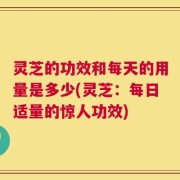 灵芝的功效和每天的用量是多少(灵芝：每日适量的惊人功效)