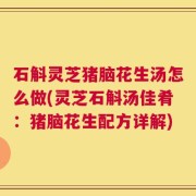 石斛灵芝猪脑花生汤怎么做(灵芝石斛汤佳肴：猪脑花生配方详解)