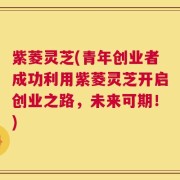 紫菱灵芝(青年创业者成功利用紫菱灵芝开启创业之路，未来可期！)