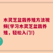 木灵芝盆栽养殖方法视频(学习木灵芝盆栽养殖，轻松入门!)