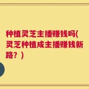 种植灵芝主播赚钱吗(灵芝种植成主播赚钱新路？)