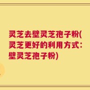 灵芝去壁灵芝孢子粉(灵芝更好的利用方式：壁灵芝孢子粉)