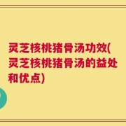 灵芝核桃猪骨汤功效(灵芝核桃猪骨汤的益处和优点)