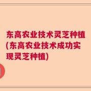 东高农业技术灵芝种植(东高农业技术成功实现灵芝种植)
