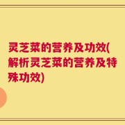 灵芝菜的营养及功效(解析灵芝菜的营养及特殊功效)