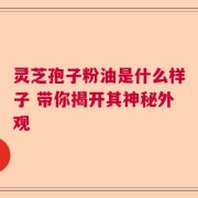 灵芝孢子粉油是什么样子 带你揭开其神秘外观