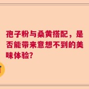 孢子粉与桑黄搭配，是否能带来意想不到的美味体验？