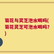 菊花与灵芝泡水喝吗(菊花灵芝可泡水喝吗？)