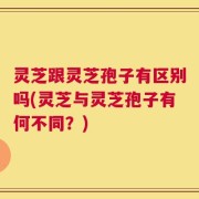 灵芝跟灵芝孢子有区别吗(灵芝与灵芝孢子有何不同？)