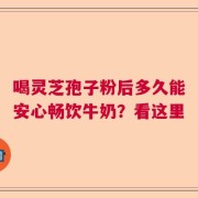 喝灵芝孢子粉后多久能安心畅饮牛奶？看这里