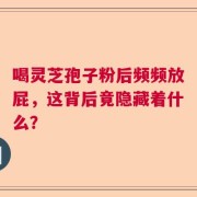喝灵芝孢子粉后频频放屁，这背后竟隐藏着什么？