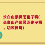 长白山紫灵芝孢子粉(长白山产紫灵芝孢子粉，功效神奇)