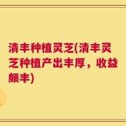 清丰种植灵芝(清丰灵芝种植产出丰厚，收益颇丰)