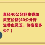 直径40公分野生香血灵芝价格(40公分野生香血灵芝，价格是多少？)