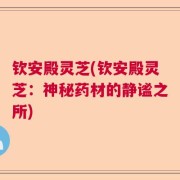 钦安殿灵芝(钦安殿灵芝:神秘药材的静谧之所)