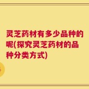 灵芝药材有多少品种的呢(探究灵芝药材的品种分类方式)
