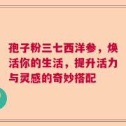 孢子粉三七西洋参，焕活你的生活，提升活力与灵感的奇妙搭配
