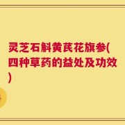 灵芝石斛黄芪花旗参(四种草药的益处及功效)