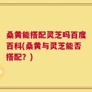 桑黄能搭配灵芝吗百度百科(桑黄与灵芝能否搭配？)