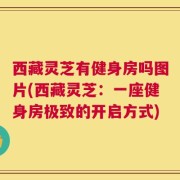 西藏灵芝有健身房吗图片(西藏灵芝：一座健身房极致的开启方式)