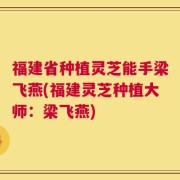 福建省种植灵芝能手梁飞燕(福建灵芝种植大师：梁飞燕)