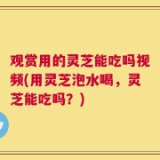 观赏用的灵芝能吃吗视频(用灵芝泡水喝，灵芝能吃吗？)