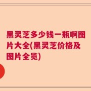 黑灵芝多少钱一瓶啊图片大全(黑灵芝价格及图片全览)
