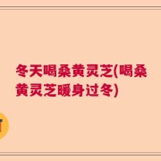冬天喝桑黄灵芝(喝桑黄灵芝暖身过冬)