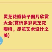 灵芝花瓣椅子图片欣赏大全(赏析多彩灵芝花瓣椅，尽览艺术设计之美)