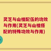 灵芝与山楂配伍的功效与作用(灵芝与山楂搭配的特殊功效与作用)