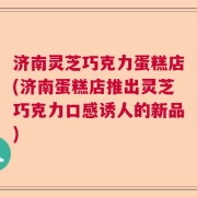济南灵芝巧克力蛋糕店(济南蛋糕店推出灵芝巧克力口感诱人的新品)