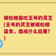 蜈蚣精偷吃王母的灵芝(王母的灵芝被蜈蚣精盗食，造成什么后果？)