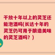 干放十年以上的灵芝还能泡酒吗(长达十年的灵芝仍可用于酿造美味的灵芝酒吗？)
