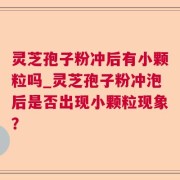 灵芝孢子粉冲后有小颗粒吗_灵芝孢子粉冲泡后是否出现小颗粒现象？