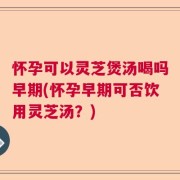怀孕可以灵芝煲汤喝吗早期(怀孕早期可否饮用灵芝汤？)