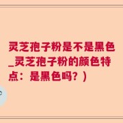 灵芝孢子粉是不是黑色_灵芝孢子粉的颜色特点：是黑色吗？)