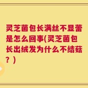 灵芝菌包长满丝不显蕾是怎么回事(灵芝菌包长出绒发为什么不结菇？)