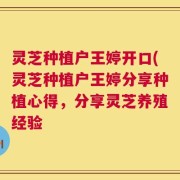灵芝种植户王婷开口(灵芝种植户王婷分享种植心得，分享灵芝养殖经验